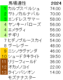 2024　函館２歳Ｓ　馬場適性指数